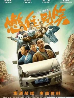 言情小说