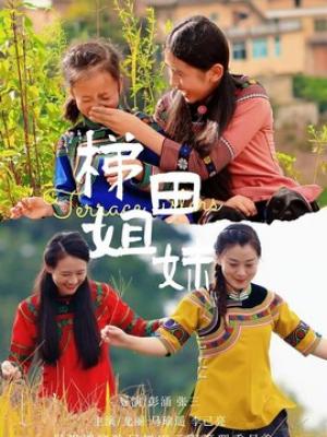 电视剧版